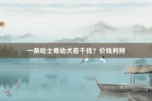 一条哈士奇幼犬若干钱？价钱判辨
